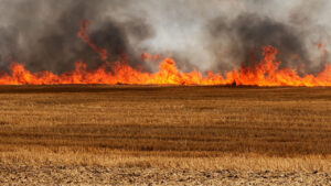 haber-gorseli-1786532346206